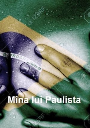 The Hand of Paulista's poster image