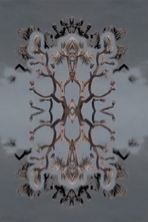 Desert Solitaire's poster