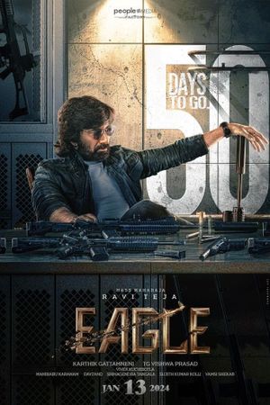 Eagle's poster