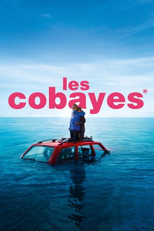 Les cobayes's poster