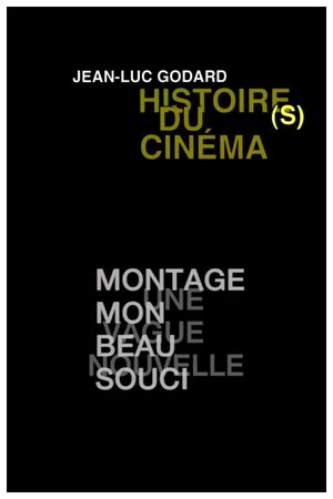 Histoire(s) du Cinéma 3b: A New Wave's poster