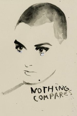 Nothing Compares's poster