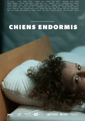 Chiens endormis's poster