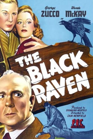 The Black Raven's poster