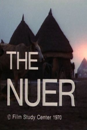 The Nuer's poster