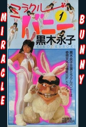 Miracle Bunny's poster