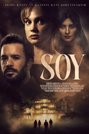 Soy's poster image