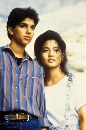 The Karate Kid Part II's poster