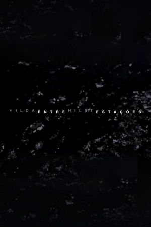 Hilda Hilst Entre Estações's poster