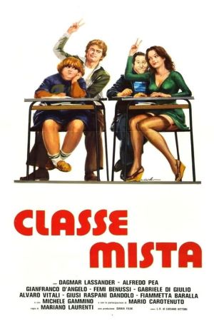 Classe mista's poster