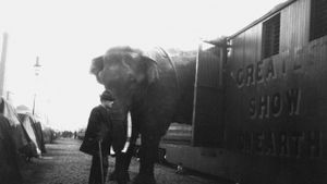 The Tragic Story of Fritz the Elephant's poster