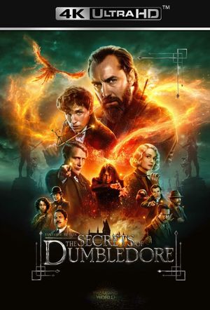 Fantastic Beasts: The Secrets of Dumbledore's poster