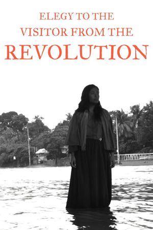 Elegy to the Visitor from the Revolution's poster