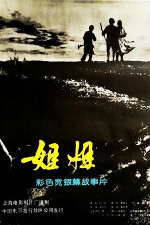 姐姐's poster