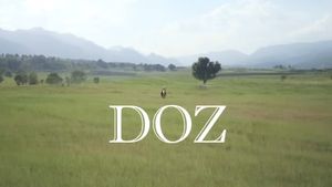 Doz's poster