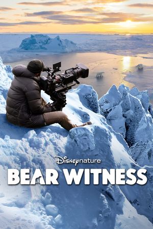 Bear Witness's poster