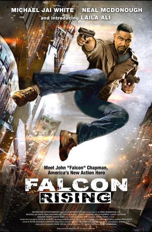 Falcon Rising's poster