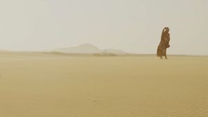 Alma del desierto's poster
