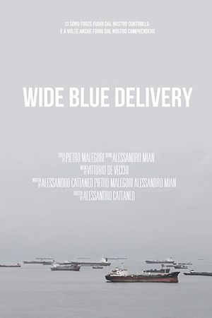 Wide Blue Delivery's poster image