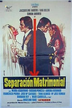 Separación matrimonial's poster