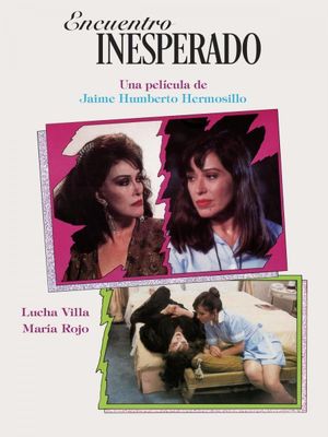 Encuentro inesperado's poster