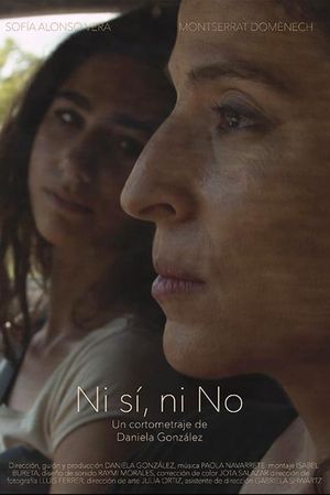 Ni sí, ni no's poster