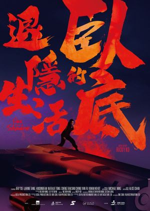 Out of the Shadow's poster