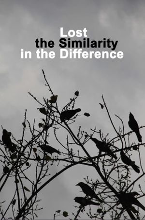 Lost the Similarity in the Difference's poster