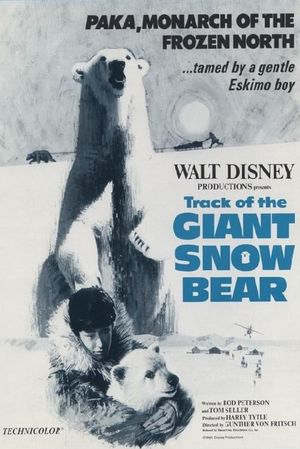 Snow Bear's poster