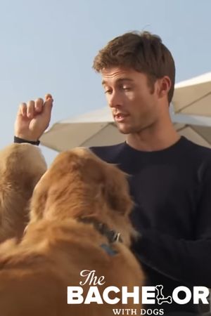The Bachelor with Dogs and Scott Eastwood's poster