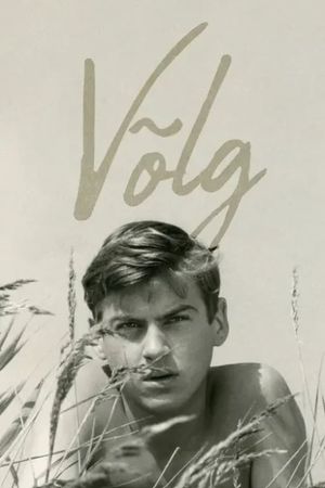 Debt's poster