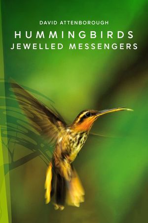 Hummingbirds: Jewelled Messengers's poster