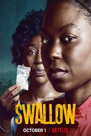 Swallow's poster