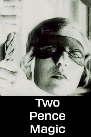 Two Pence Magic's poster