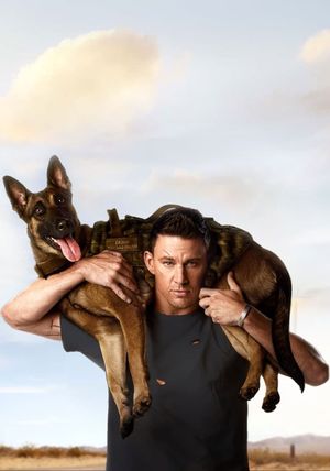 Dog's poster
