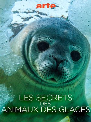 Les Secrets des Animaux des Glaces's poster