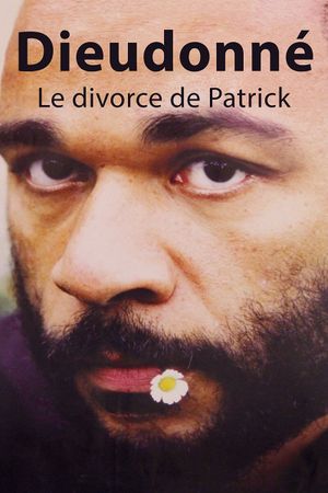 Le divorce de Patrick's poster