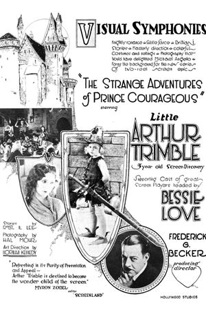 The Strange Adventures of Prince Courageous's poster