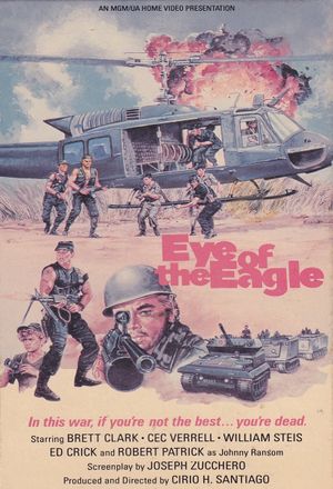 Eye of the Eagle's poster