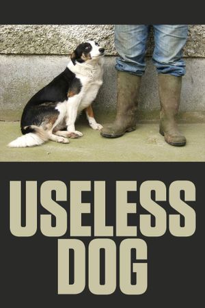 Useless Dog's poster