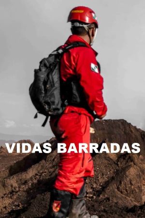 Vidas Barradas's poster