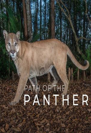 Path of the Panther's poster
