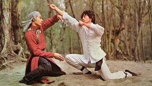 Shaolin Kung Fu Master's poster