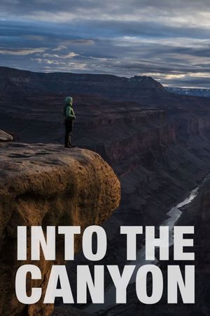 Into the Canyon's poster