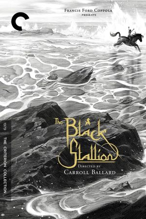 The Black Stallion's poster