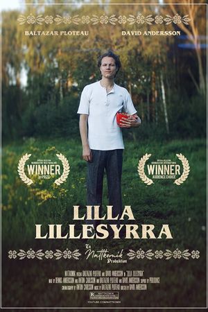 Lilla Lillesyrra's poster