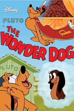 Wonder Dog's poster