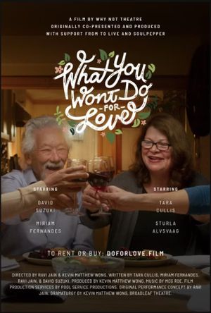 What You Won't Do For Love's poster