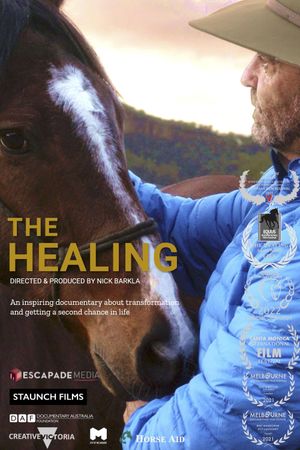 The Healing's poster