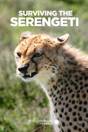 Surviving the Serengeti's poster